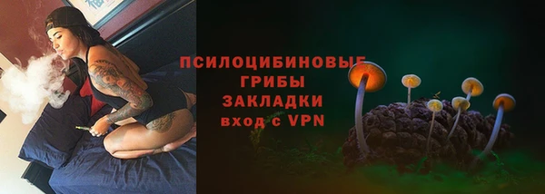 2c-b Абаза