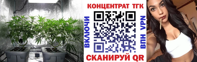 ТГК концентрат  Тула 